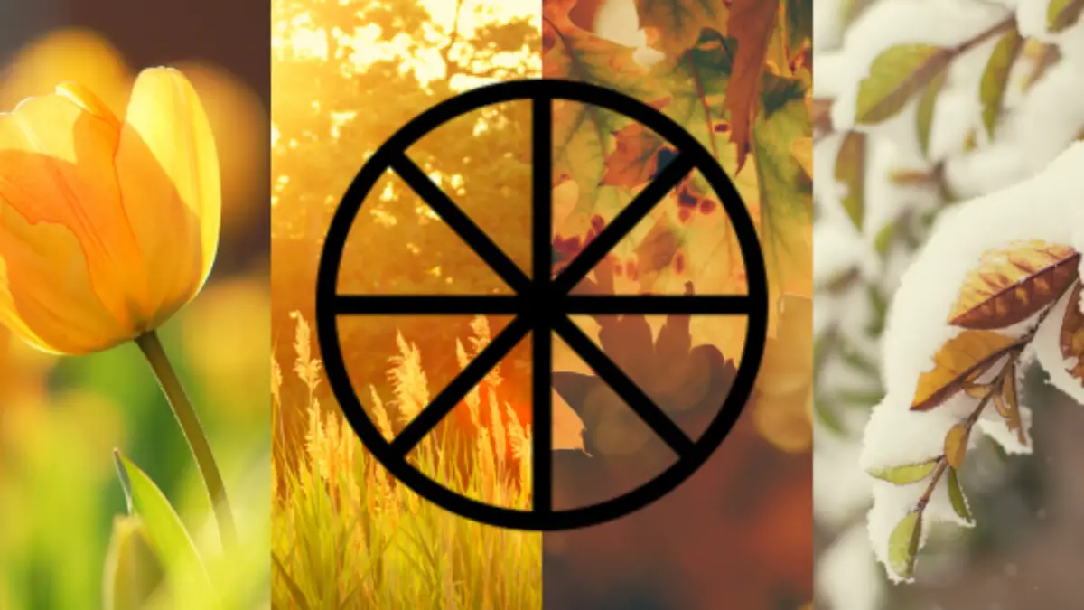 Wheel of the Year: Your Ultimate Guide to the 8 Wiccan Sabbats